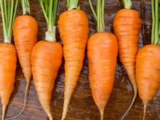 Carrot, Red Cored Chantenay