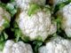 Cauliflower, Snowball