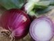 Onion, Ruby Red