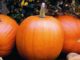 Pumpkin, Jack O’Lantern (OUT OF STOCK)