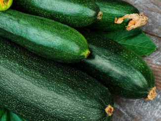 Zucchini, Dark