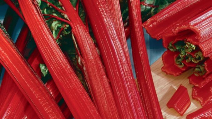 Swiss Chard, Ruby Red