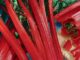 Swiss Chard, Ruby Red