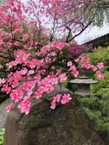 pink flowers, pagoda bird feeder