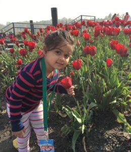 little girl with red tulips