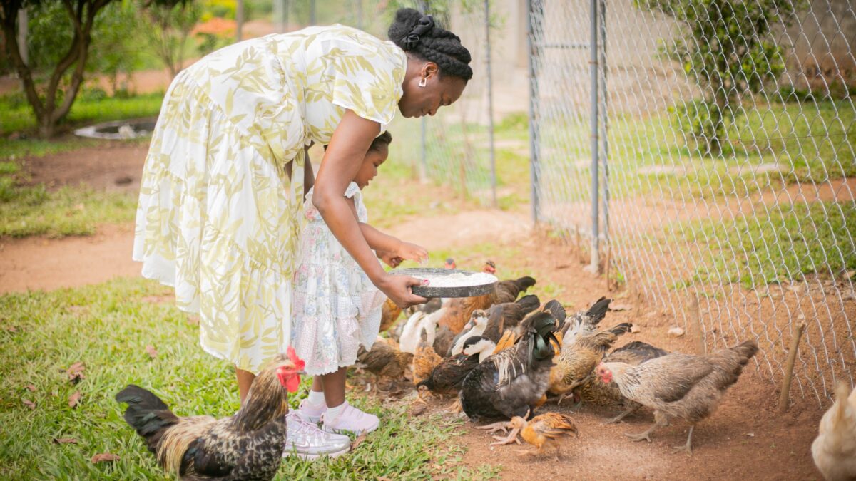 Read to Feed: How Summer Reading Helps Fight Hunger through Heifer International