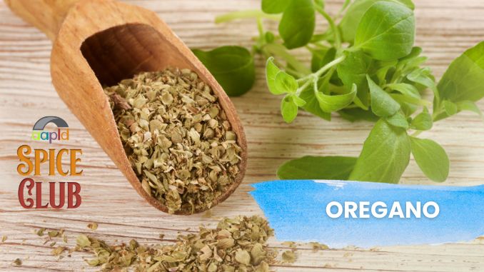 Spice Club – July 2026 – Oregano