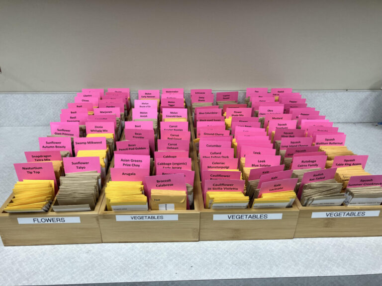 Get Planting! Seed Library Returns March 1! Algonquin Library Adult